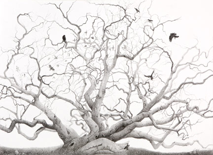 Jean LeCluyse Heirophany - Illsutration of a dead tree and black birds